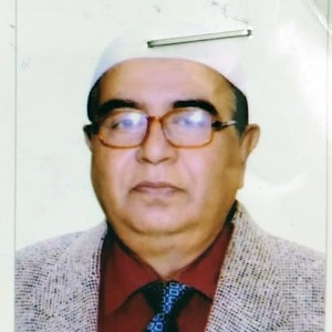 সৈয়দ মেহেদী আহ্‌মেদ রুমী এর ছবি