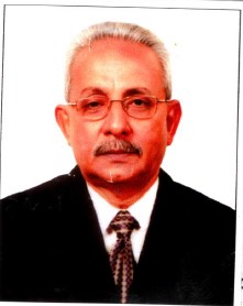 মফিজুল ইসলাম খান কামাল এর ছবি