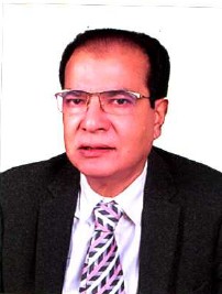 আসাদুল হাবিব দুলু এর ছবি