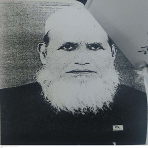 মোঃ ইব্রাহিম এর ছবি