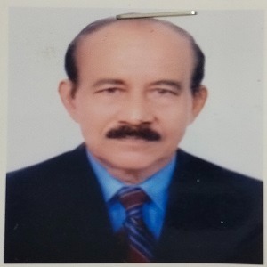 শাহ মফিজ এর ছবি