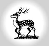 স্বতন্ত্র - হরিণ