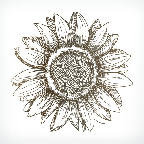 স্বতন্ত্র - সূর্যমুখী ফুল