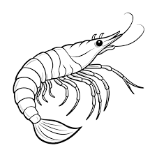 স্বতন্ত্র - চিংড়ি