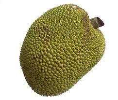 বাংলাদেশ জাতীয় পার্টি - কাঁঠাল