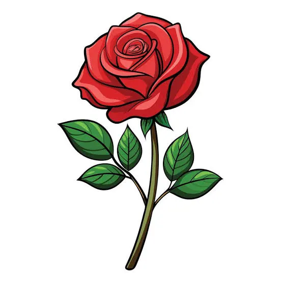 জাকের পার্টি - গোলাপ ফুল