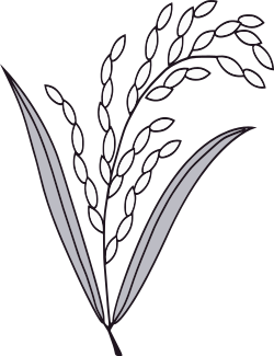 বাংলাদেশ জাতীয়তাবাদী দল (বিএনপি)