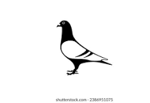 গণতন্ত্রী পার্টি - কবুতর