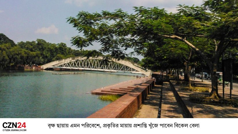 সবুজ বনে