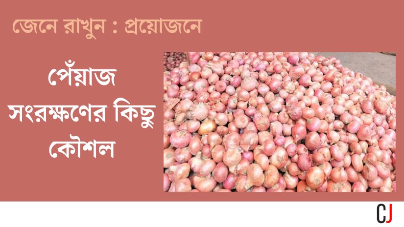 পেঁয়াজ সংরক্ষণের কিছু কৌশল