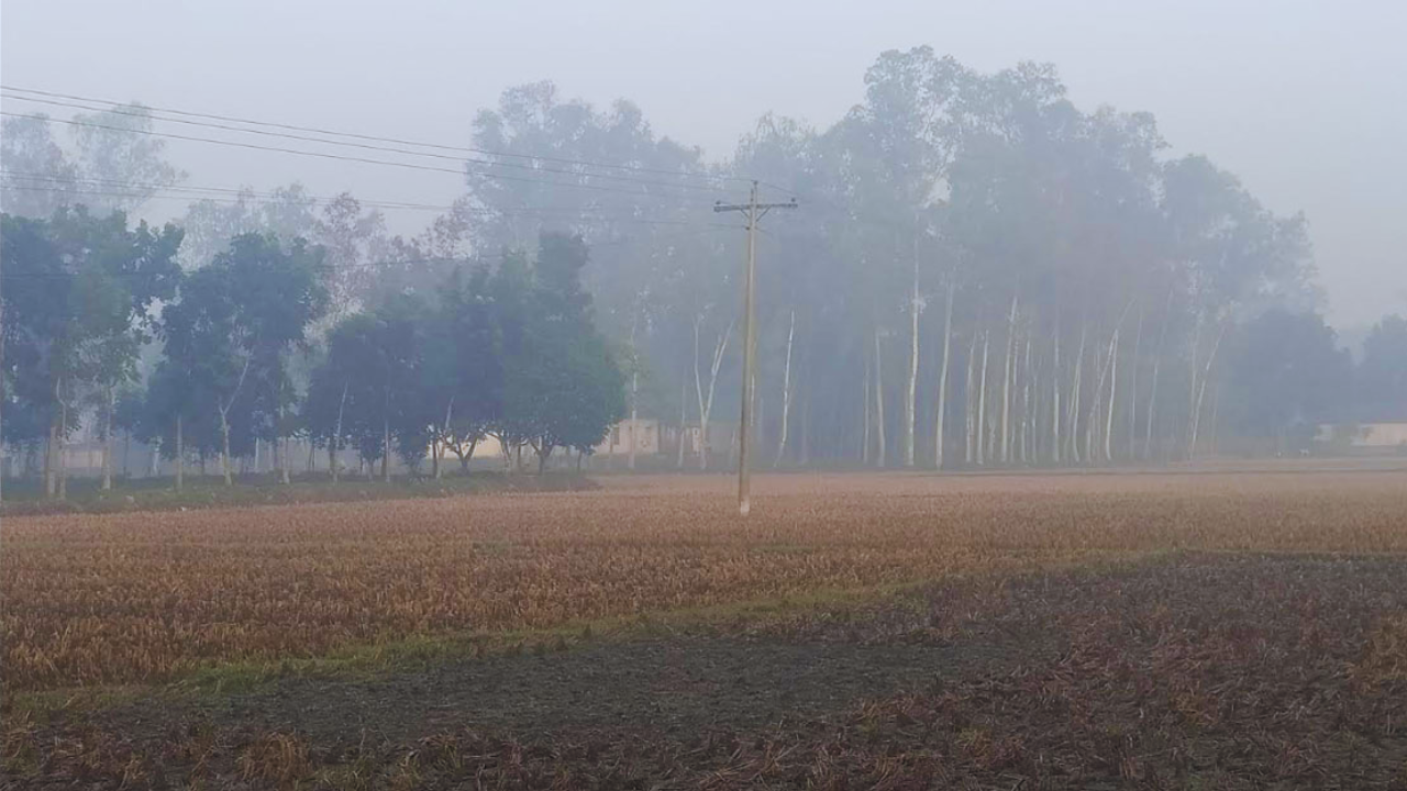 পঞ্চগড়ে নামতে শুরু করেছে শীত, টানা পাঁচদিন ১৩ ডিগ্রির ঘরে তাপমাত্রা