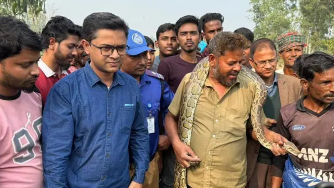 জারুল গাছে আট ফুট লম্বা অজগর