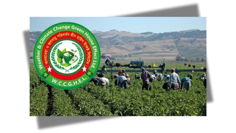 ক্যালিফোর্নিয়ায় ৩০০ কৃষি শ্রমিক পাঠাবে ‘ওয়েদার এন্ড ক্লাইমেট চেইঞ্জ গ্রীন হাউস ইফেক্ট লিমিটেড’