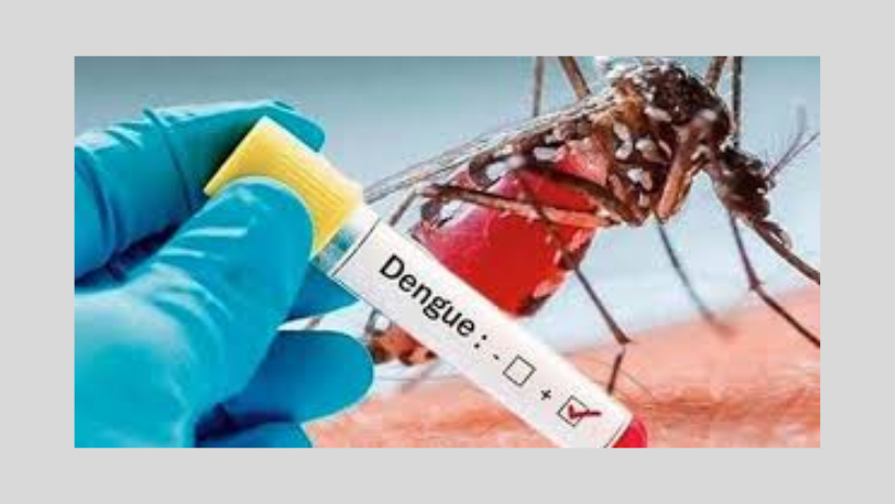ডেঙ্গুতে হাসপাতালে নতুন ভর্তি ৬৫৯ জন