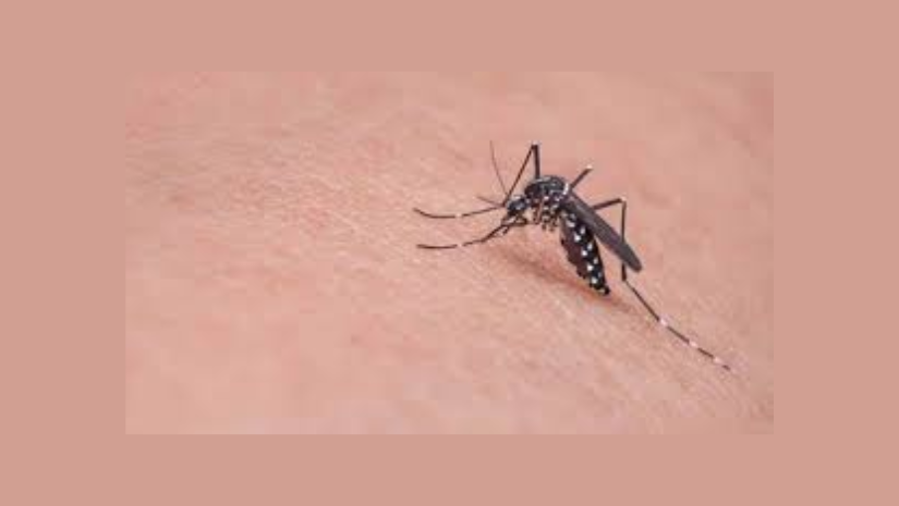 ডেঙ্গু আক্রান্ত হয়ে হাসপাতালে ভর্তি আরও ৪৬০ জন