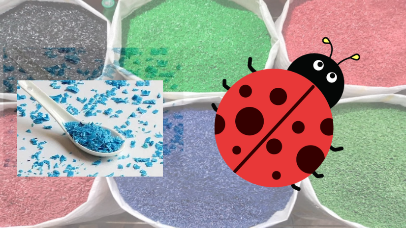 যে পোঁকা খেয়ে ফেলবে প্লাস্টিক