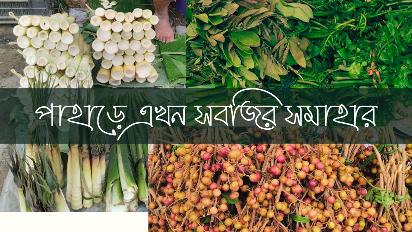 নানান উপকারী পুষ্টিগুণ সম্পন্ন পাহাড়ি সবজি