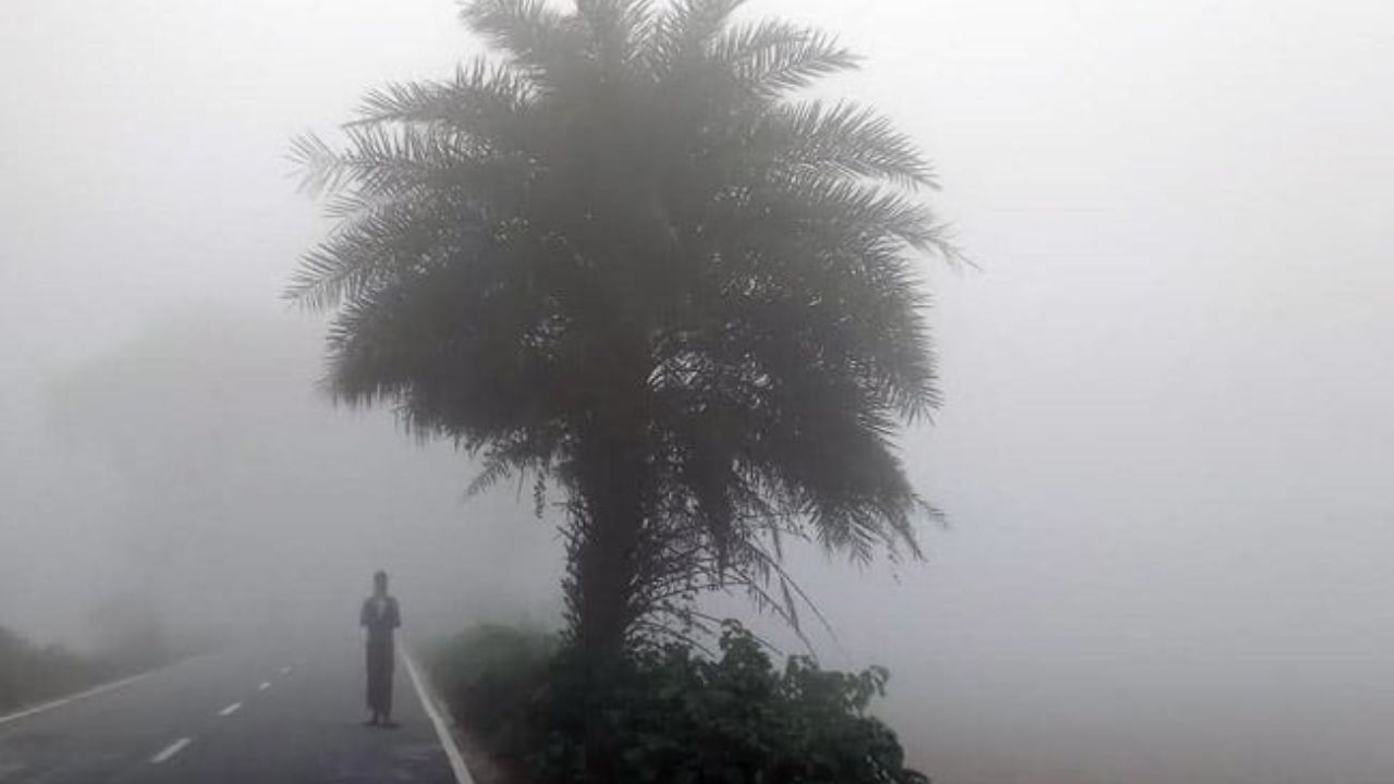 উত্তরাঞ্চলে শীতের দাপট