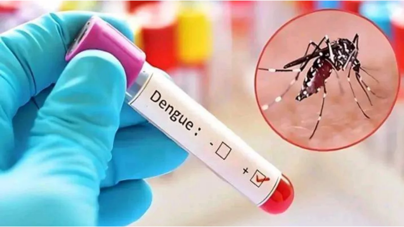 ২৪ ঘণ্টায় ডেঙ্গুতে আরও ৪ জনের মৃত্যু, হাসপাতালে ভর্তি ৯৪২