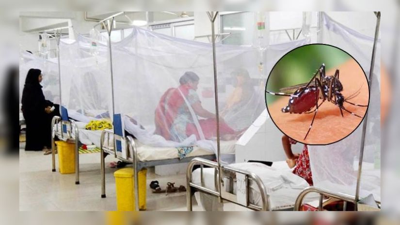 ডেঙ্গুতে প্রাণ হারালেন আরও ৫ জন