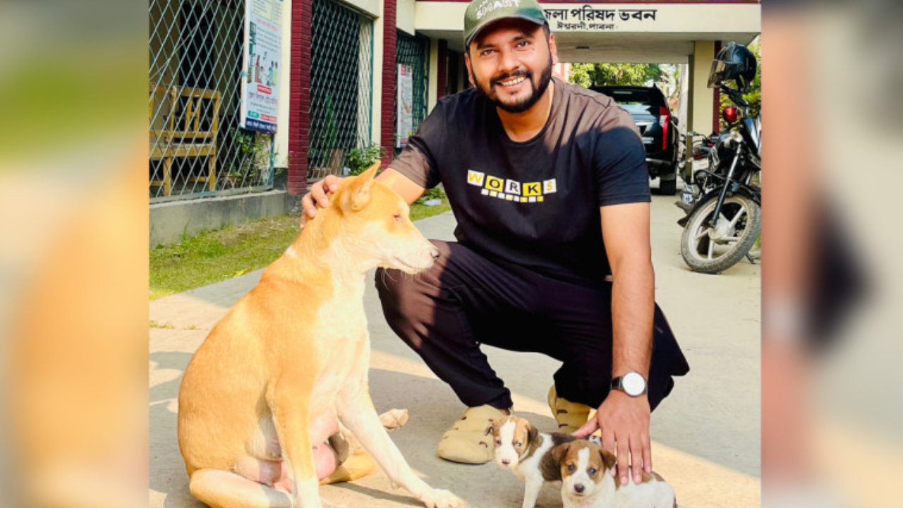 সন্তানহারা সেই মা কুকুর পেলো নতুন ২ ছানা