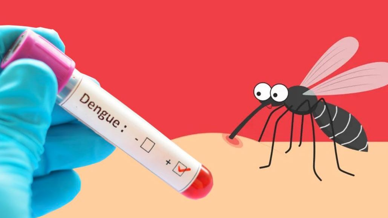 ডেঙ্গুতে আরও ৫ জনের মৃত্যু, ভর্তি ৬৩৬ জন