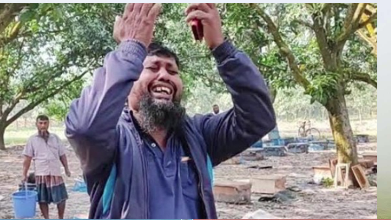 বিষ দিয়ে ১৮০ বাক্স মৌমাছি নিধন: উদ্যোক্তার আর্তনাদ
