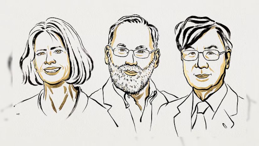 চিকিৎসাশাস্ত্রে নোবেল পেলেন ৩ বিজ্ঞানী