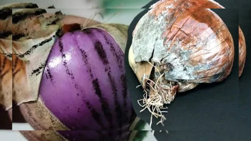 পেঁয়াজের কালো দাগে হতে পারে ক্ষতি