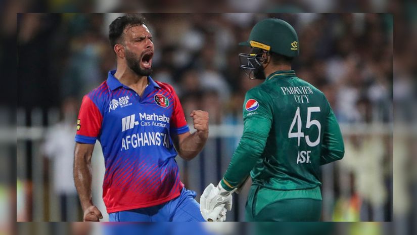 পাকিস্তানের হামলায় ৩ ক্রিকেটার নিহত, বড় সিদ্ধান্ত আফগানিস্তানের