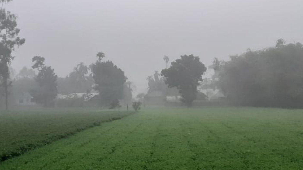 পঞ্চগড়ে তাপমাত্রা ১১ ডিগ্রি