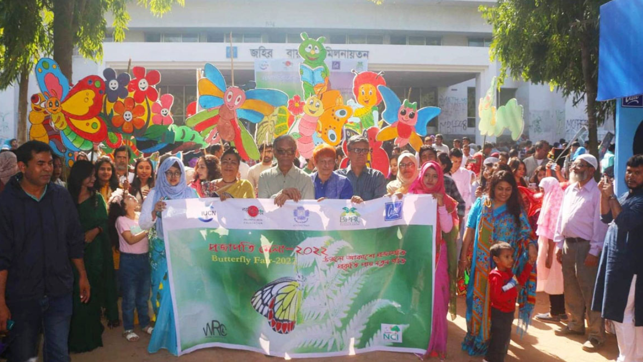 ‘উড়লে আকাশে প্রজাপতি, প্রকৃতি পায় নতুন গতি’