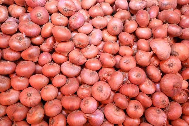 পেঁয়াজ আমদানির অনুমোদন দিলো সরকার