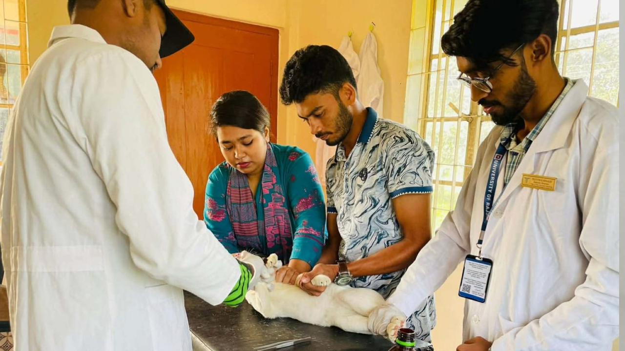 রাজশাহী বিশ্ববিদ্যালয়ে বিনামূল্যে মিলছে প্রাণীদের চিকিৎসাসেবা